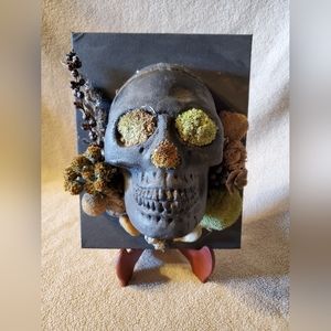 Natural Home Decor. Skull Moss Moss Wall Art